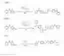 Fig. 02 - Photoactivatable crosslinker