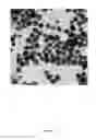 Fig. 02 - Metal Nanoparticle Synthesis and Conductive Ink Formulation