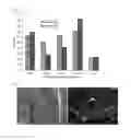 Fig. 32 - Self healing polymer compositions