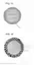 Fig. 02 - Light-reflective anisotropic conductive adhesive and light-emitting device