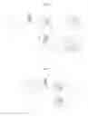 Fig. 02 - Use of an adhesive composition to provide a bonding in a wet environment