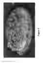 Fig. 02 - Dissipative surfactant aqueous-based drilling system for use in hydrocarbon recovery operations from heavy oil and tar sands