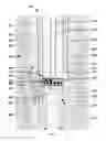 Fig. 07 - Compositions and methods for controlling wellsite fluid and gas flow