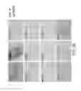 Fig. 06 - BROWN FAT CELLS AND METHOD FOR PREPARING SAME