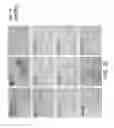 Fig. 07 - BROWN FAT CELLS AND METHOD FOR PREPARING SAME