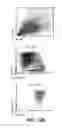 Fig. 22 - Systems and methods for producing stem cells and differentiated cells