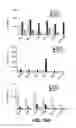 Fig. 32 - Systems and methods for producing stem cells and differentiated cells