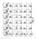 Fig. 33 - Systems and methods for producing stem cells and differentiated cells