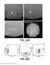 Fig. 52 - Systems and methods for producing stem cells and differentiated cells