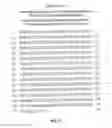 Fig. 22 - COMPOSITIONS AND METHODS FOR THE TREATMENT OF HEMOGLOBINOPATHIES