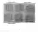 Fig. 06 - Amylase-deficient strain