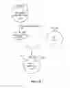 Fig. 16 - Recombinant Elastase Proteins and Methods of Manufacturing and Use Thereof