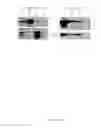 Fig. 16 - Methods and compounds for increasing threonyl-tRNA synthetase activity