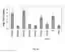 Fig. 16 - Compositions and methods for inhibition of nucleic acids function