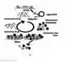 Fig. 09 - SINGLE MOLECULE NUCLEIC ACID NANOPARTICLES
