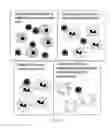 Fig. 17 - SINGLE MOLECULE NUCLEIC ACID NANOPARTICLES