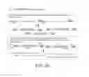 Fig. 40 - SINGLE MOLECULE NUCLEIC ACID NANOPARTICLES