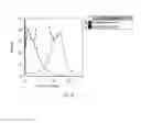 Fig. 49 - SINGLE MOLECULE NUCLEIC ACID NANOPARTICLES