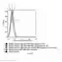 Fig. 54 - SINGLE MOLECULE NUCLEIC ACID NANOPARTICLES