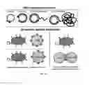 Fig. 73 - SINGLE MOLECULE NUCLEIC ACID NANOPARTICLES