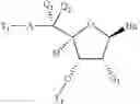 Fig. 10 - Oligomeric compounds and methods
