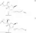 Fig. 115 - Oligomeric compounds and methods