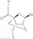 Fig. 46 - Oligomeric compounds and methods