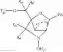 Fig. 47 - Oligomeric compounds and methods