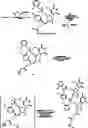 Fig. 95 - Oligomeric compounds and methods