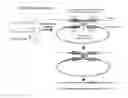 Fig. 01 - Methods for targeted transgene-integration using custom site-specific DNA recombinases