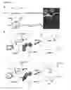 Fig. 02 - MODULATION OF PLANT GROWTH BY VAS1 MUTATION