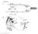 Fig. 12 - MODULATION OF PLANT GROWTH BY VAS1 MUTATION
