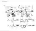 Fig. 13 - MODULATION OF PLANT GROWTH BY VAS1 MUTATION