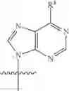 Fig. 124 - ALTERNATIVE NUCLEIC ACID MOLECULES AND USES THEREOF