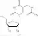 Fig. 211 - ALTERNATIVE NUCLEIC ACID MOLECULES AND USES THEREOF