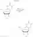 Fig. 231 - ALTERNATIVE NUCLEIC ACID MOLECULES AND USES THEREOF