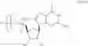 Fig. 84 - ALTERNATIVE NUCLEIC ACID MOLECULES AND USES THEREOF