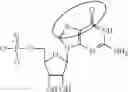 Fig. 97 - ALTERNATIVE NUCLEIC ACID MOLECULES AND USES THEREOF