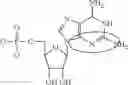 Fig. 98 - ALTERNATIVE NUCLEIC ACID MOLECULES AND USES THEREOF