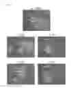 Fig. 09 - METHODS AND PRODUCTS FOR TRANSFECTING CELLS