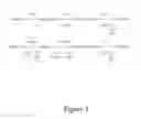 Fig. 02 - Methods and Compositions for the Recombinant Biosynthesis of Terminal Olefins