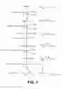 Fig. 02 - Microorganisms for the production of adipic acid and other compounds