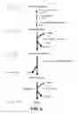 Fig. 07 - Microorganisms for the production of adipic acid and other compounds