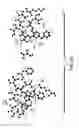 Fig. 09 - β-lactamase substrates and methods of their use for the diagnosis of tuberculosis
