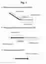 Fig. 02 - Detection of target nucleic acid sequence by PTO cleavage and extension-dependent signaling oligonucleotide cleavage
