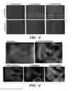 Fig. 07 - Compositions and methods for multiplex biomarker profiling