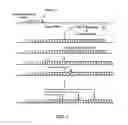 Fig. 02 - ISOTHERMAL AMPLIFICATION OF NUCLEIC ACIDS WITHIN A POROUS MATRIX