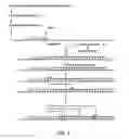 Fig. 03 - ISOTHERMAL AMPLIFICATION OF NUCLEIC ACIDS WITHIN A POROUS MATRIX