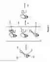 Fig. 02 - Purified polymerase / template complexes