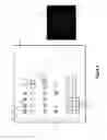 Fig. 02 - Assays for single molecule detection and use thereof